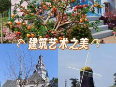 -荷兰花海
