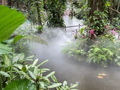 -呀诺达热带雨林