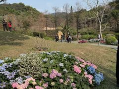 -云溪植物园