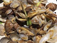 -西单翅酷(西单店)