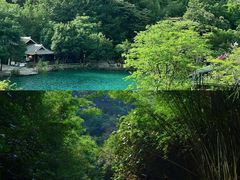 -紫云谷景区