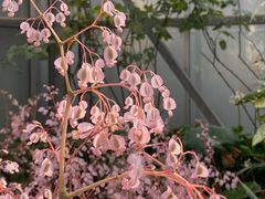 -中国科学院华南植物园