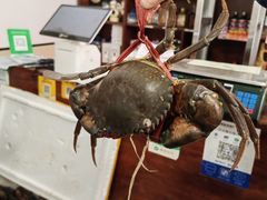 -瑞丽活螃蟹(芒市店)