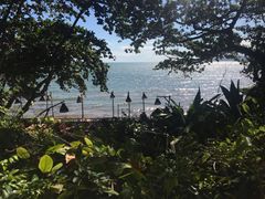 -卷心菜和避孕套餐厅(Pattaya)