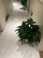 -静博士·养生养颜