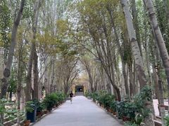 -艾提尕尔清真寺