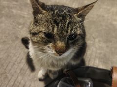 -味友·厦门味(集美店)