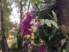 -人民公园(罗湖区)