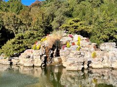 -香山公园
