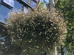 -古京·臻致料理(月湖店)