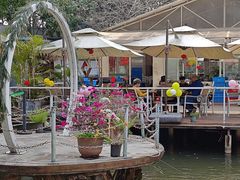 -芭厘·农庄老字号.电饭煲五指毛桃焗鸡