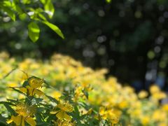 -汇龙潭