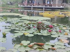 -国家植物园南园