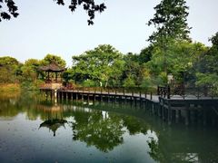 -西溪国家湿地公园