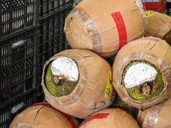 -西郊国际农产品交易中心