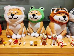 -柴务处·柴犬主题狗咖