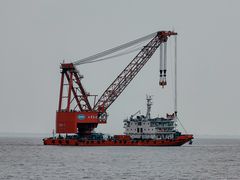 -上海滨江森林公园