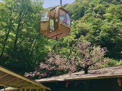 -罗田天堂寨风景区