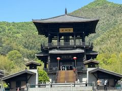 -大唐贡茶院