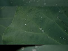 -三圣花乡旅游区