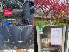 -桃源山庄·水蜜桃采摘·柴火鸡·烧烤团建(龙泉山店)
