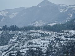 -四明山国家森林公园