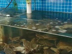 -87号烧烤海鲜·大排档(金沙滩店)