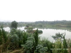 -白鹭湾湿地公园