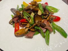 -滇野云南野生菌餐厅(陕西南路店)