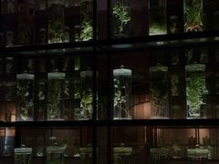 -广东中医药博物馆