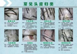 点击看大图 -十六番发型师事务所