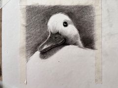 -信马画室 成人零基础到个人创作画室(亚运村店)