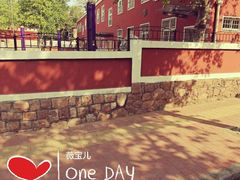 -青岛大学路小学