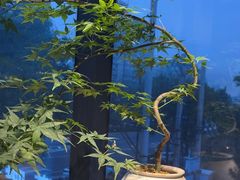 -懒人盐府人家(航天桥店)