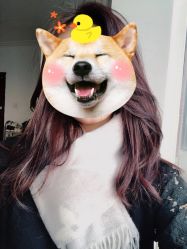 -Every Day Hair Studio