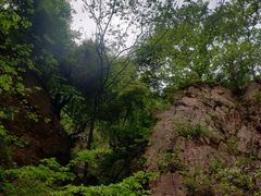 -伏羲山旅游区
