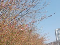 -九里河湿地公园