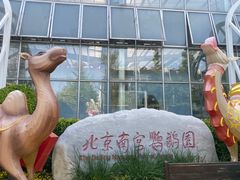 -南宫五洲植物乐园