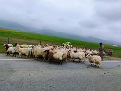 -青海湖国家重点风景名胜区