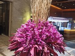 -上海宝华万豪酒店