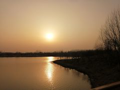 -东郊湿地公园