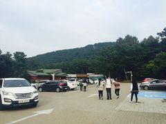 -汉拿树木园