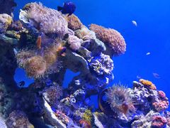 -海合安武汉极地海洋公园
