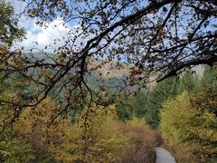 -苏木山森林公园