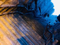 -哈尔滨文化公园