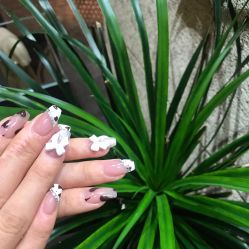 -LILY NAILS美甲美睫