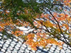 -醍醐寺