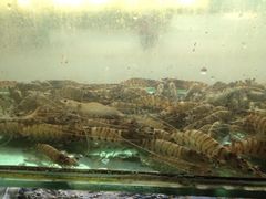 iphone_upload_pic-合家小菜餐馆(新诚花苑店)