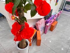 -童程童美·信息学竞赛·机器人编程·少儿编程(万寿路校区)