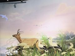 -湖南省地质博物馆